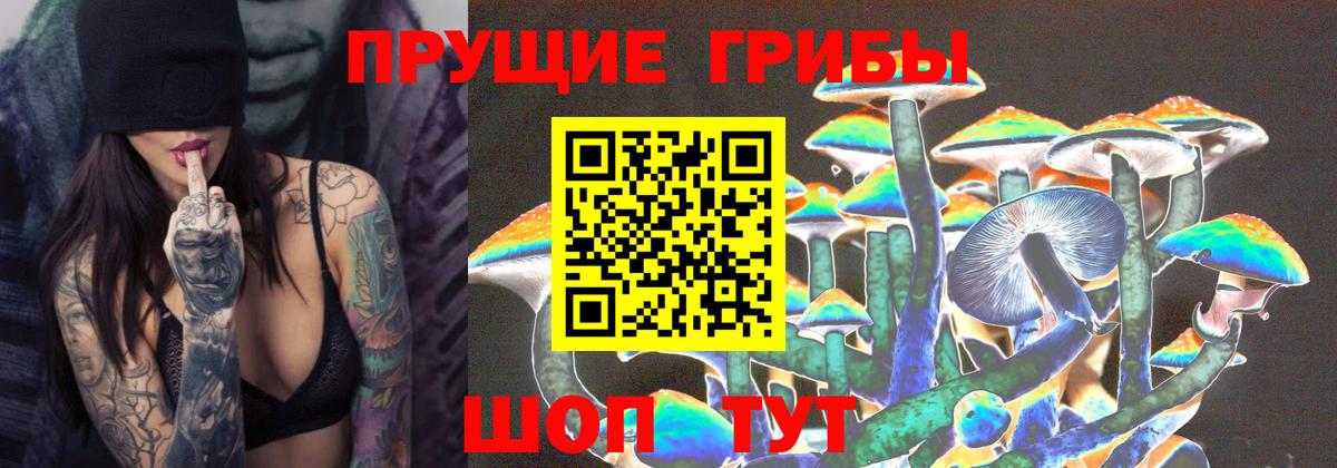 Галлюциногенные грибы GOLDEN TEACHER  Галлюциногенные грибы Psilocybine cubensis  Арзамас  Вход с VPN 